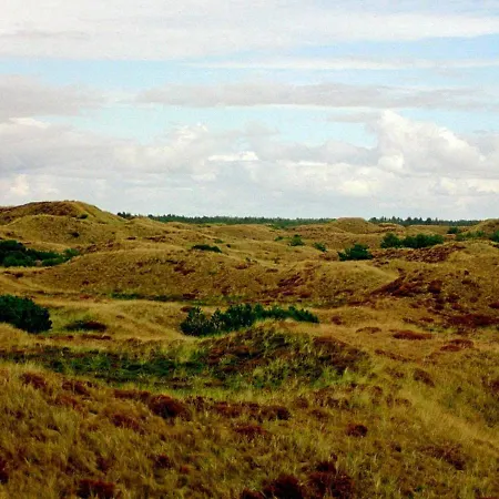 Three-bedroom In 2 * Blavand
